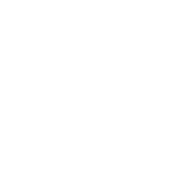 Fase 4 Seguros